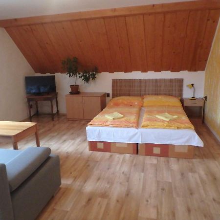 Apartments Vecernik Rokytnice Рокицани Экстерьер фото