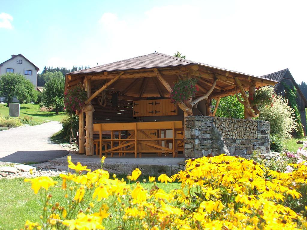 Apartments Vecernik Rokytnice Рокицани Экстерьер фото