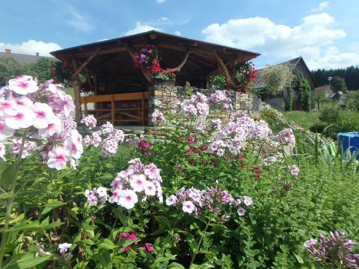 Apartments Vecernik Rokytnice Рокицани Экстерьер фото