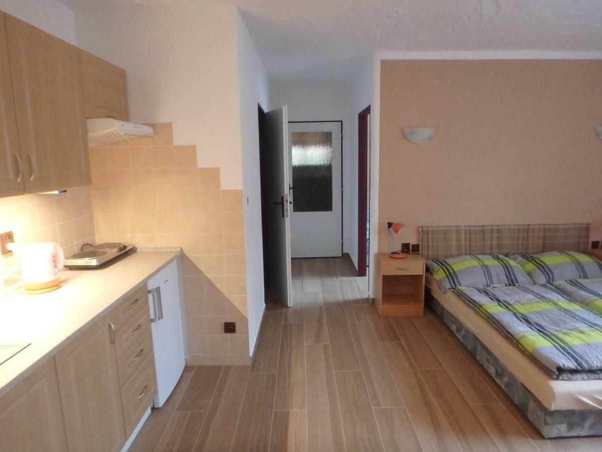 Apartments Vecernik Rokytnice Рокицани Экстерьер фото